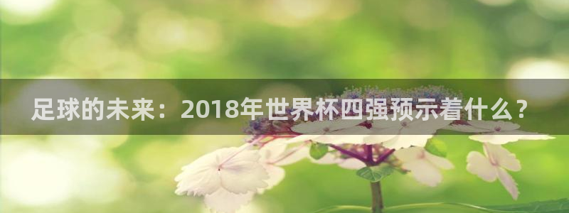 世预赛欧洲赛程表：足球的未来：2018年世界杯四强预示着什么？