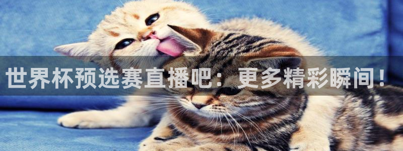 2026世界杯欧洲预选赛赛程表：世界杯预选赛直播吧：更多精彩瞬间！