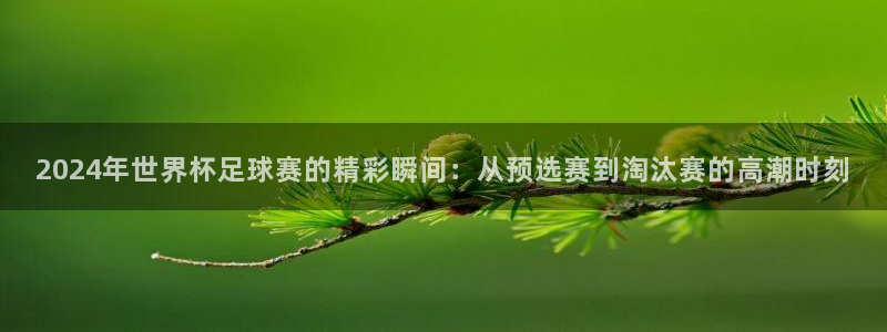 世界杯 2026：2024年世界杯足球赛的精彩瞬间：从预选赛到淘汰赛的高潮时刻