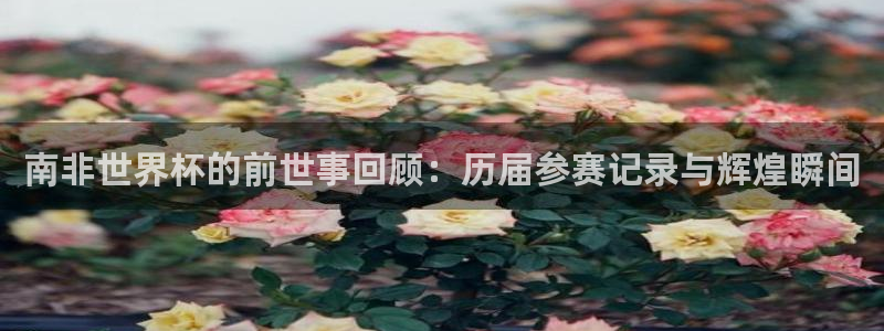 2026世界杯直播：南非世界杯的前世事回顾：历届参赛记录与辉煌瞬间