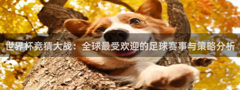 欧洲世预赛赛程表：世界杯竞猜大战：全球最受欢迎的足球赛事与策略分析