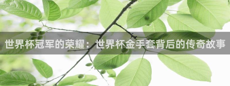 世界杯直播时间：世界杯冠军的荣耀：世界杯金手套背后的传奇故事