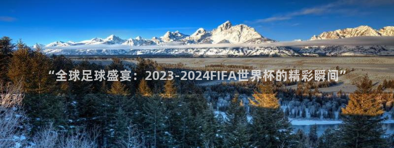 2026 世界杯：“全球足球盛宴：2023-2024FIFA世界杯的精彩瞬间”