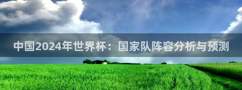 欧洲世界杯预选赛：中国2024年世界杯：国家队阵容分析与预测