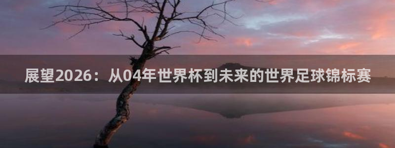 世界杯预选赛亚洲：展望2026：从04年世界杯到未来的世界足球锦标赛